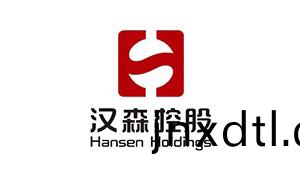漢(han)森控股(gu)